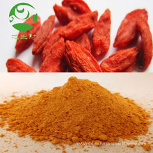 Polvo de goji orgánico de alta calidad